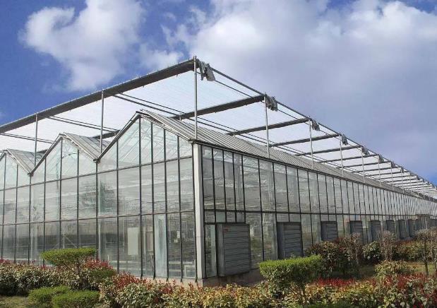 花季网站入口板新型温室大棚一亩造价多少钱？